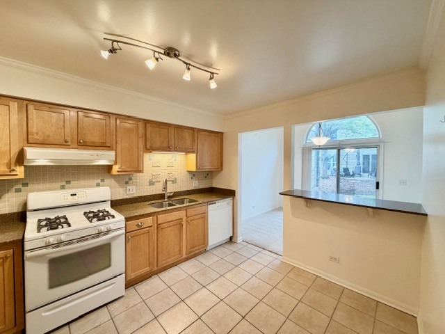 627 Cobblestone Court Elgin, IL 60120 - Photo 4 of 19