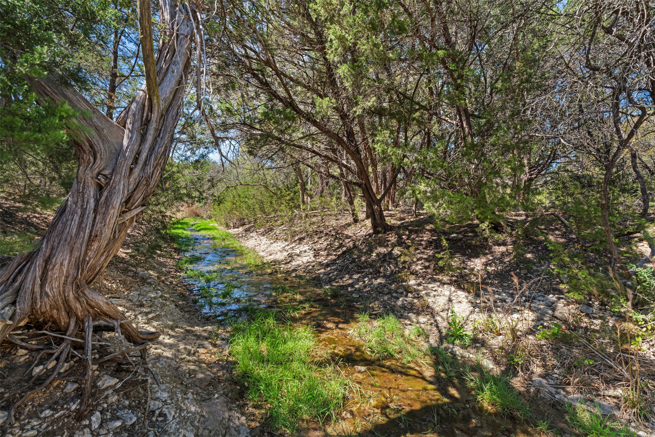 208 Amandas Way Leander, TX 78641 - Photo 24 of 25 View of nature and small creek.