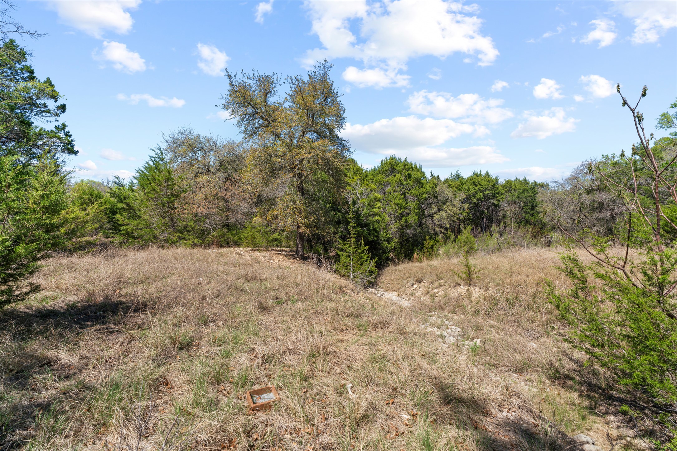 208 Amandas Way Leander, TX 78641 - Photo 25 of 25 View of woods