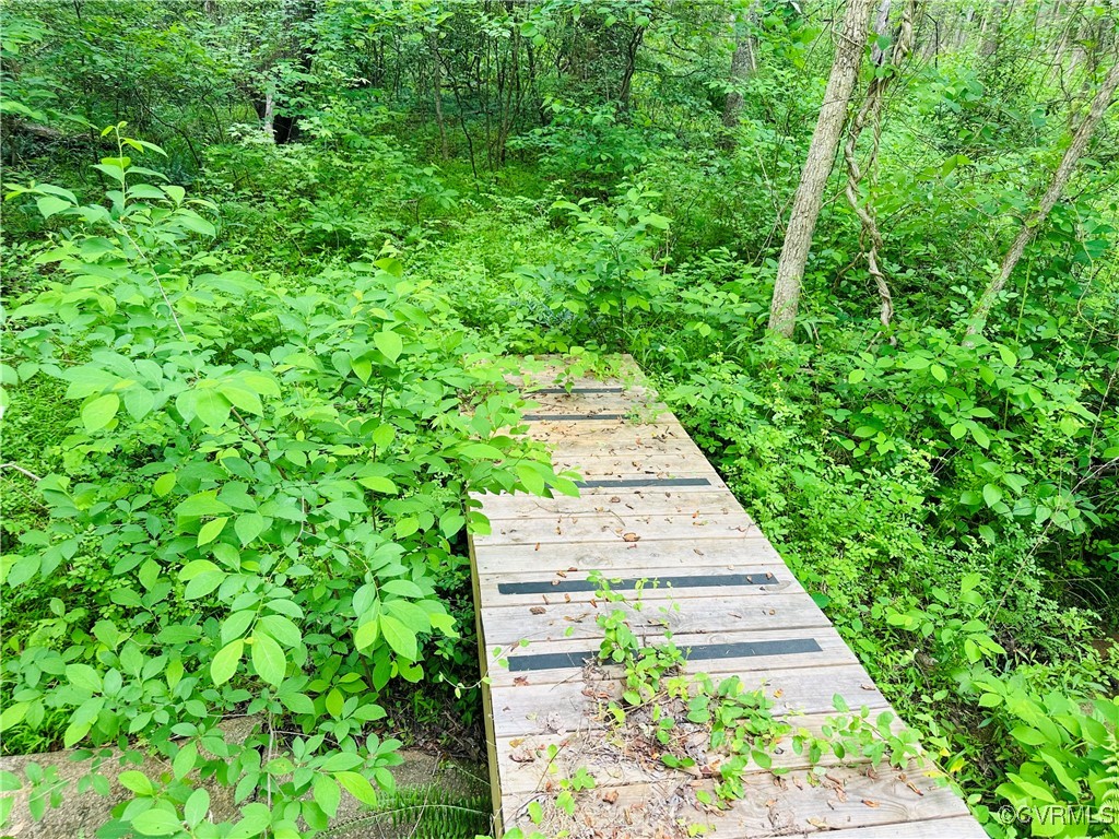 0 Pouncey Tract Road Glen Allen, VA 23059 - Photo 2 of 4 a view of a garden with pathway