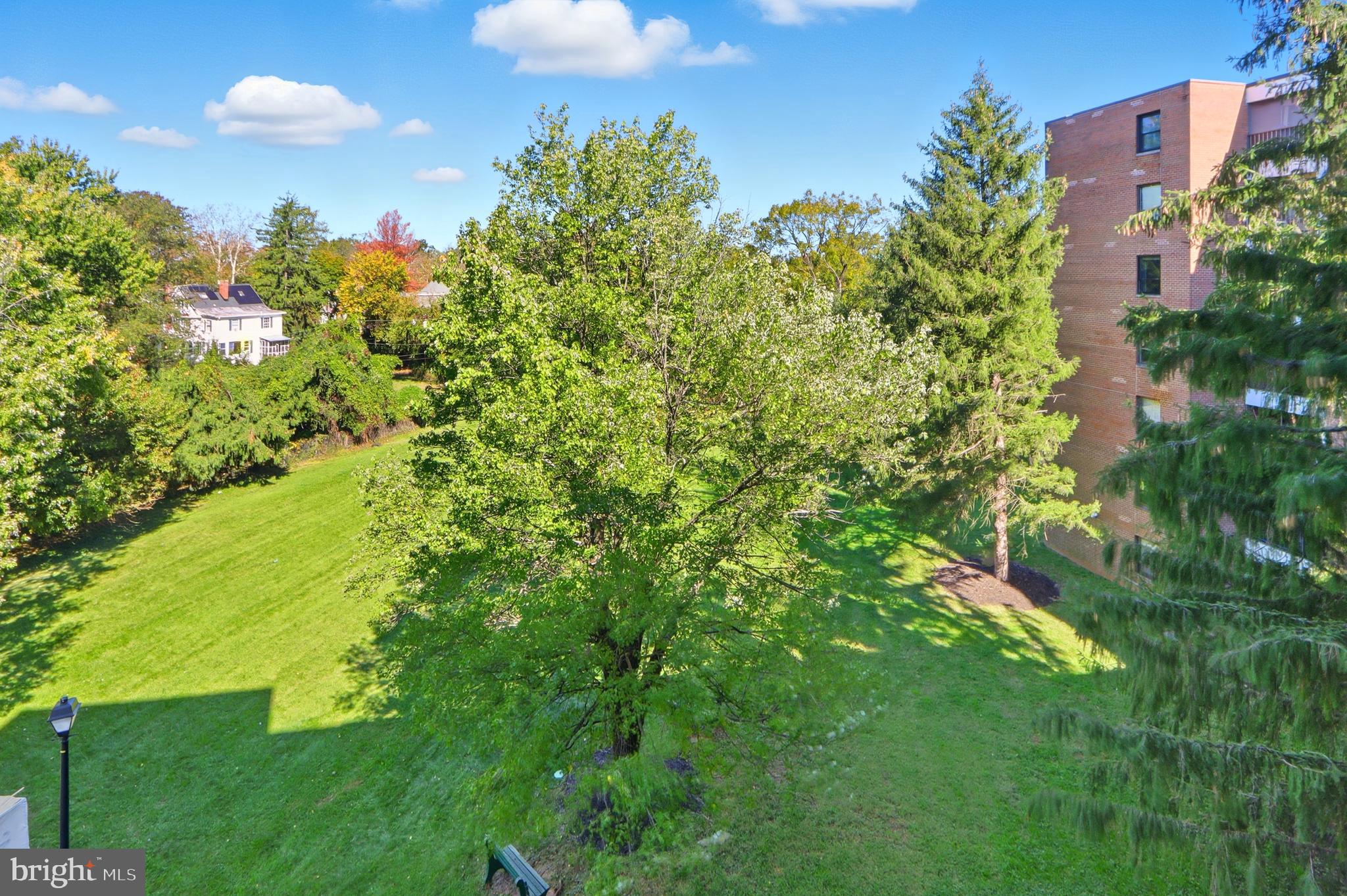 6317 Park Heights Avenue, Unit 404 Baltimore, MD 21215 - Photo 20 of 27 a view of a big yard with plants and large trees