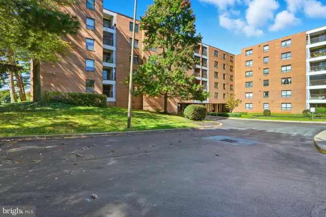 a view of park with tree s