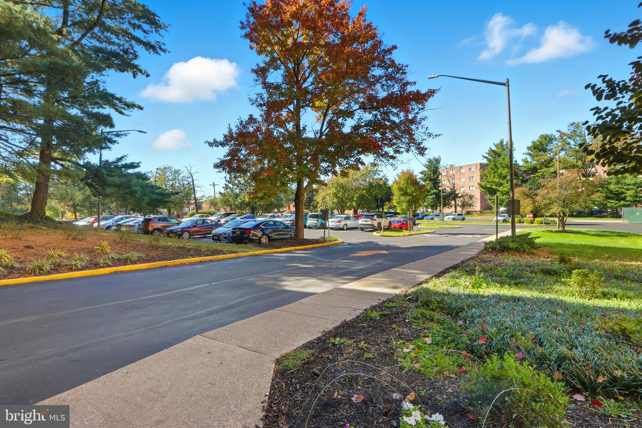 6317 Park Heights Avenue, Unit 404 Baltimore, MD 21215 - Photo 25 of 27 a view of park with tree s