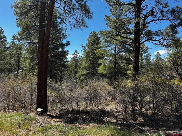 a backyard of a house