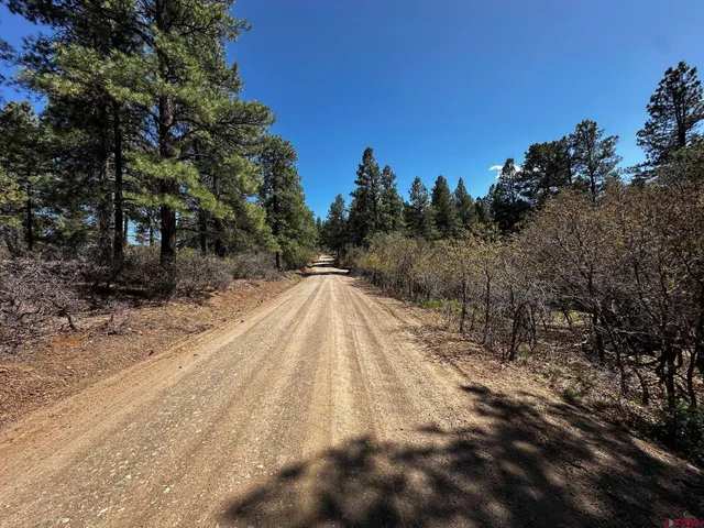 a view of backyard with green space