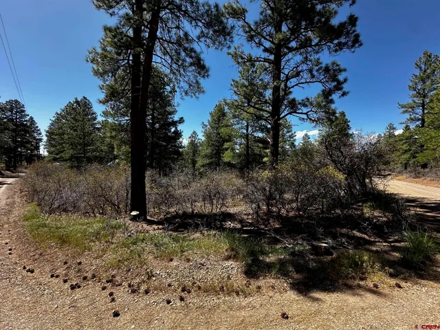 a view of a yard with wooden fence