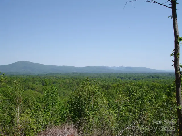 a view of a green field with lots of bushes