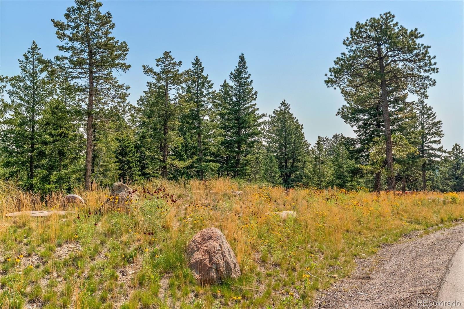 6371 Canyon Creek Road Evergreen, CO 80439 - Photo 19 of 50 a view of a yard with trees