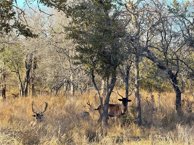 $4,276,800 | 1782 Farm To Market 218, Hamilton, TX 76531