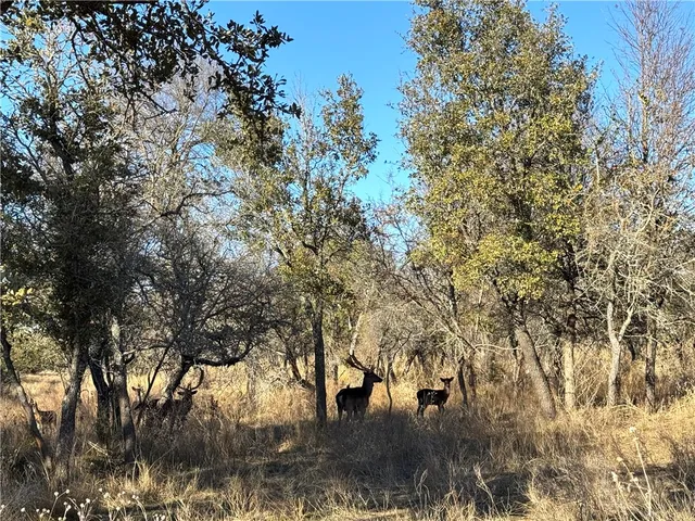 $4,276,800 | 1782 Farm To Market 218, Hamilton, TX 76531