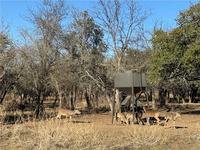 $4,276,800 | 1782 Farm To Market 218, Hamilton, TX 76531