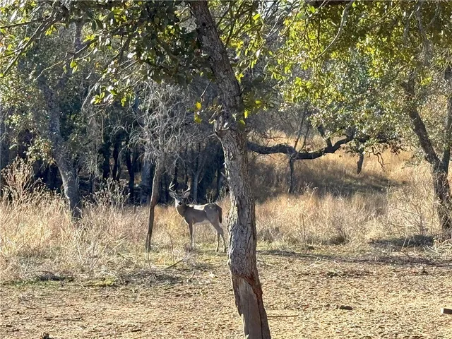 $4,276,800 | 1782 Farm To Market 218, Hamilton, TX 76531