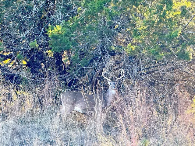 $4,276,800 | 1782 Farm To Market 218, Hamilton, TX 76531