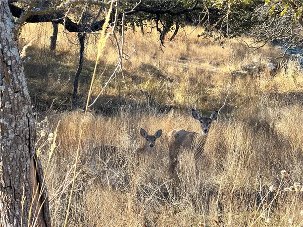 $4,276,800 | 1782 Farm To Market 218, Hamilton, TX 76531