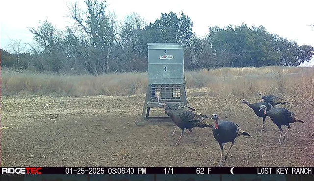 $4,276,800 | 1782 Farm To Market 218, Hamilton, TX 76531