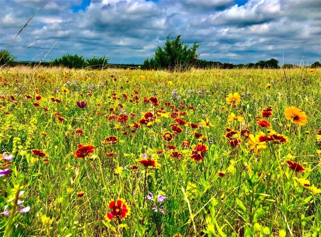 $4,276,800 | 1782 Farm To Market 218, Hamilton, TX 76531