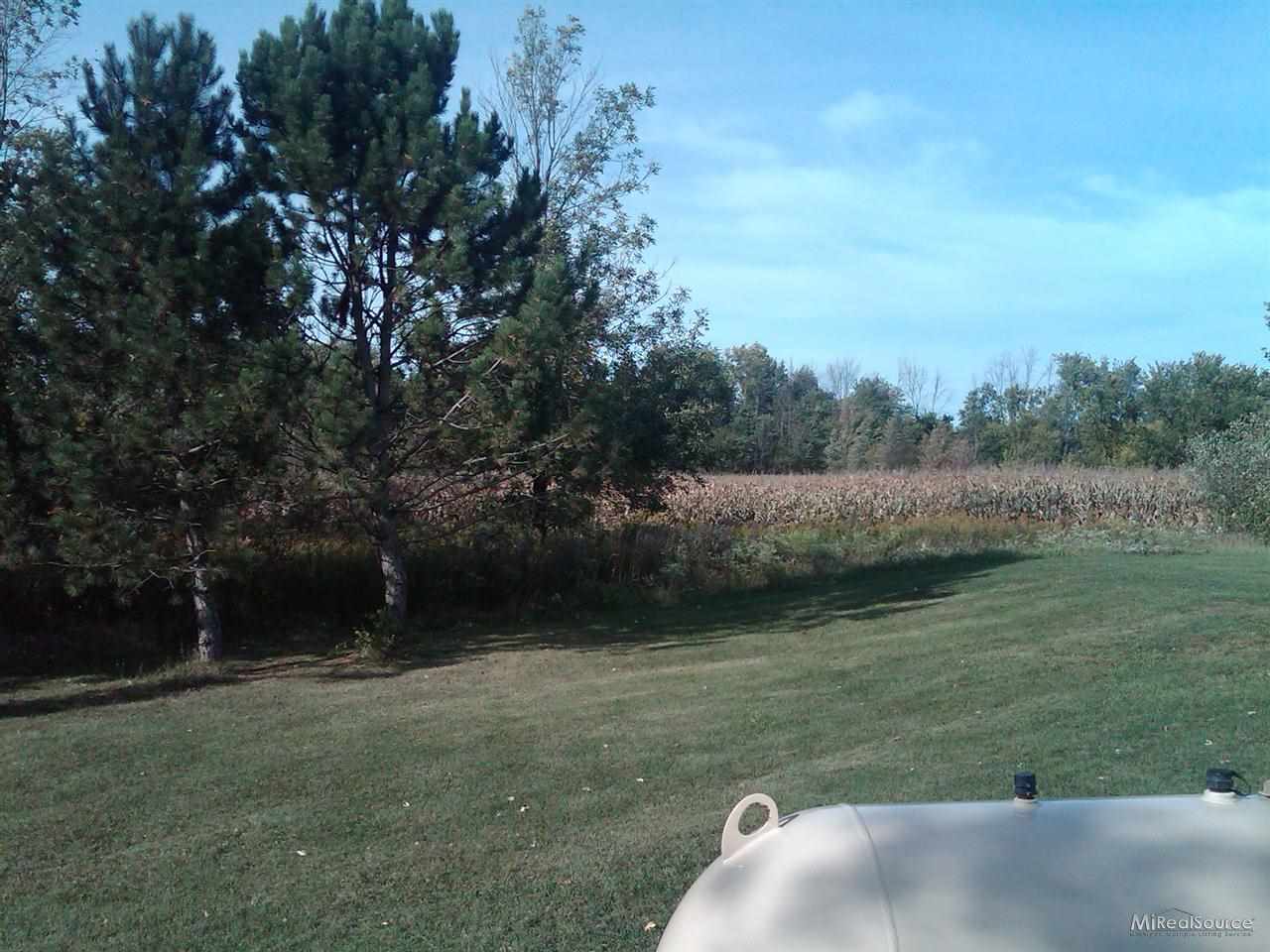 9612 Imlay City Road Avoca, MI 48006 - Photo 3 of 5 This is a view of the side yard.