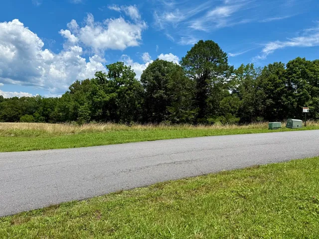 a view of a yard and entertaining space