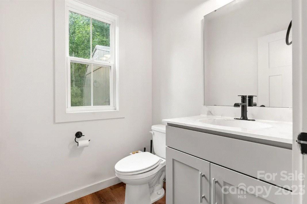 231 Medford Branch Road Candler, NC 28715 - Photo 16 of 28 a bathroom with a sink and a toilet