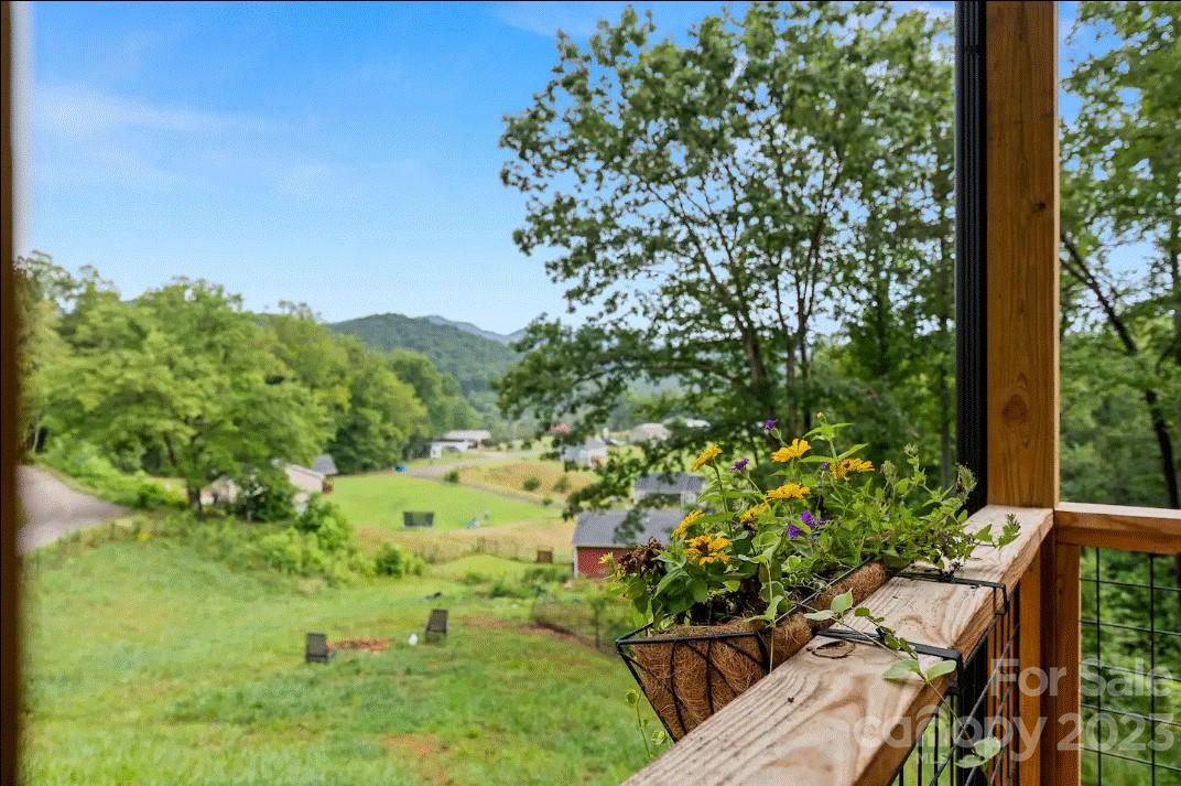 231 Medford Branch Road Candler, NC 28715 - Photo 27 of 28 a view of a garden with plants