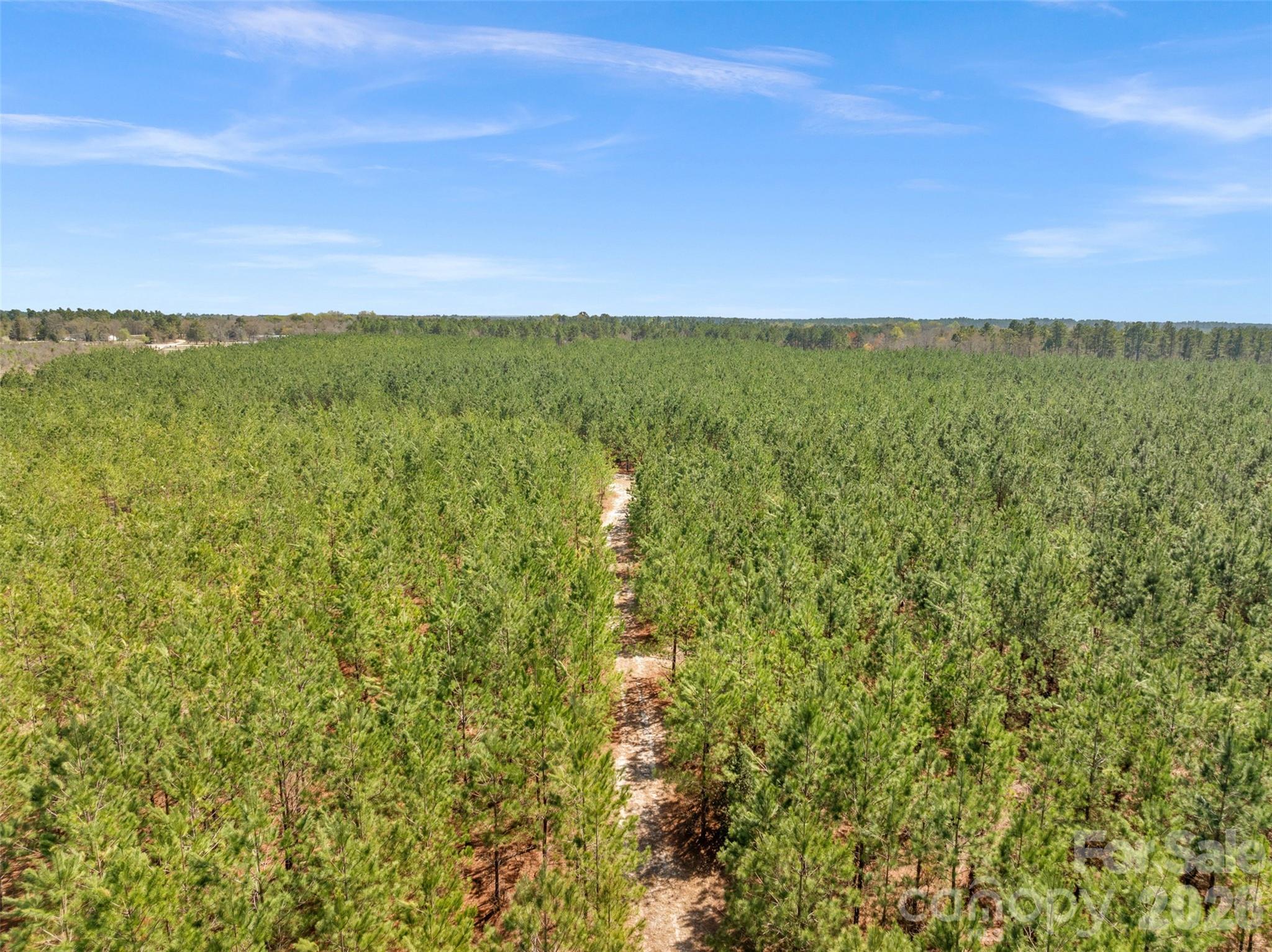 931 Charlie Johnson Road, Unit 11 Kershaw, SC 29067 - Photo 8 of 27 Gallery Image 8