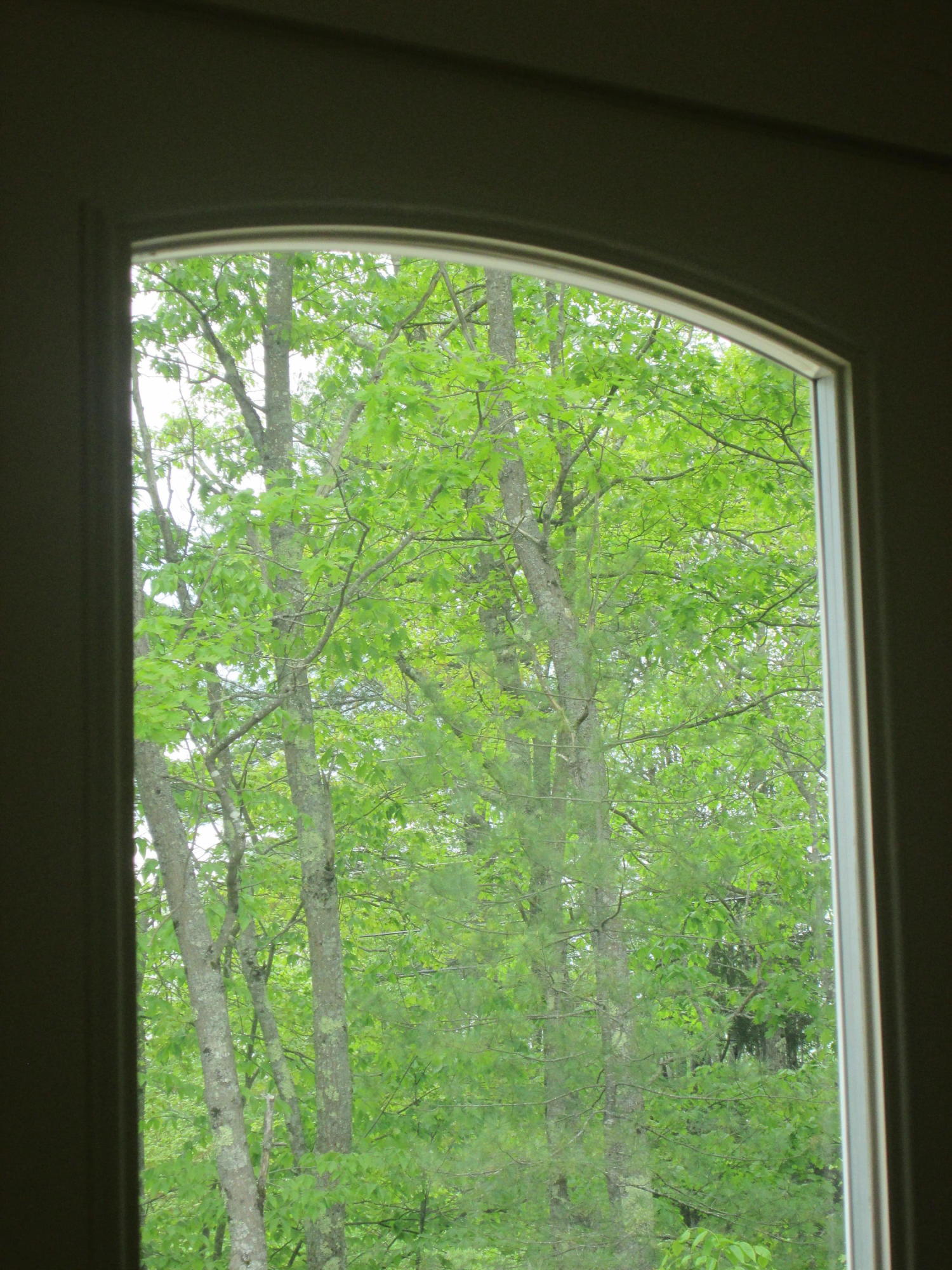 208 Baker Road Freeport, ME 04032 - Photo 56 of 90 AM043