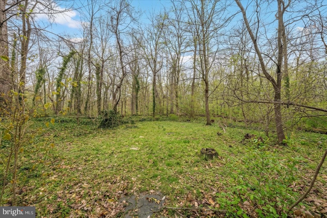 7009 Quander Road Alexandria, VA 22307 - Photo 51 of 56