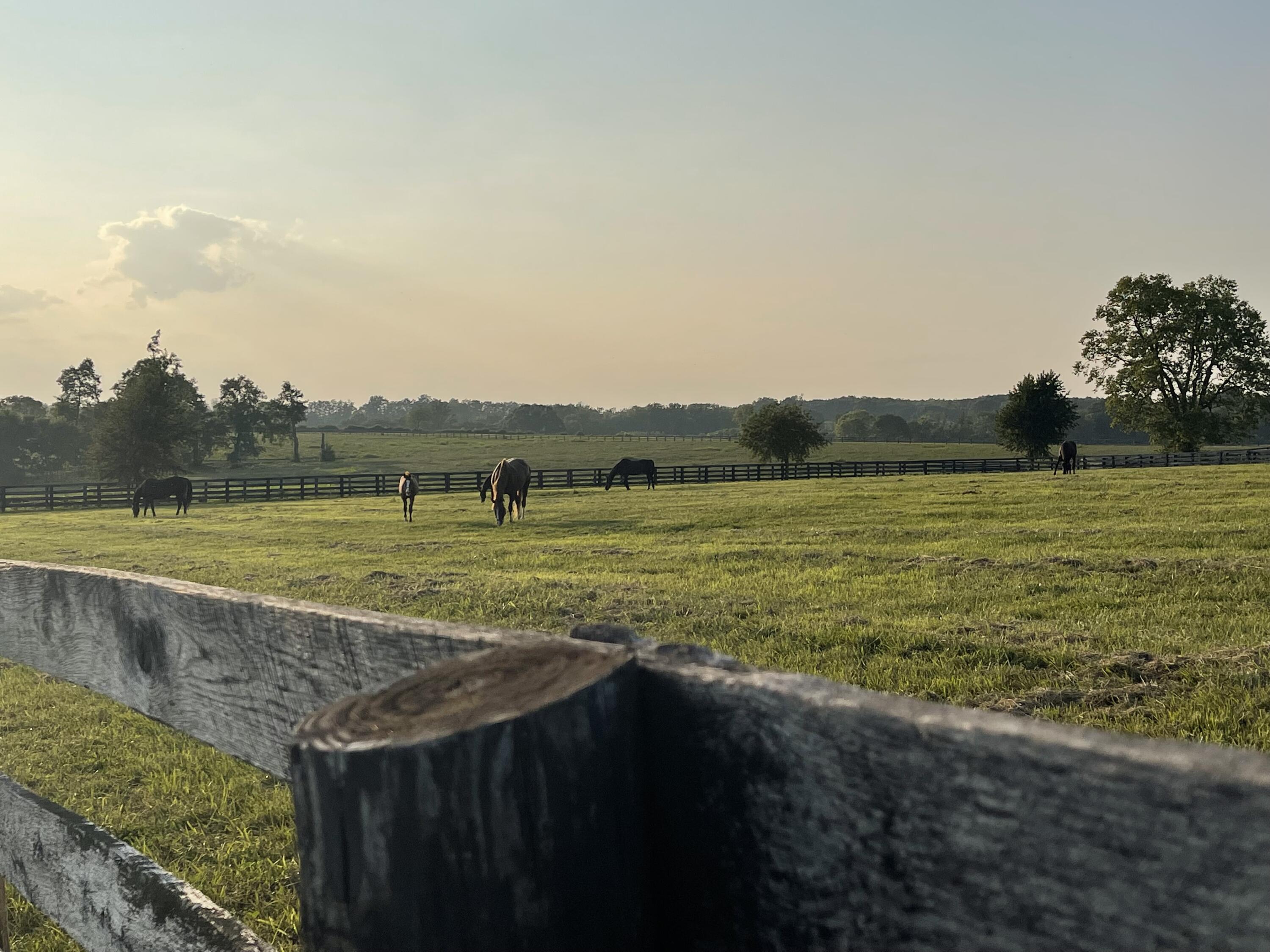 5 Elizabeth Station Road Paris, KY 40361 - Photo 1 of 5 farm picture