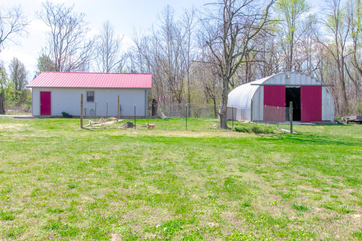 259 Toad Road Dowelltown, TN 37059 - Photo 16 of 19 a view of a house with a yard and large trees