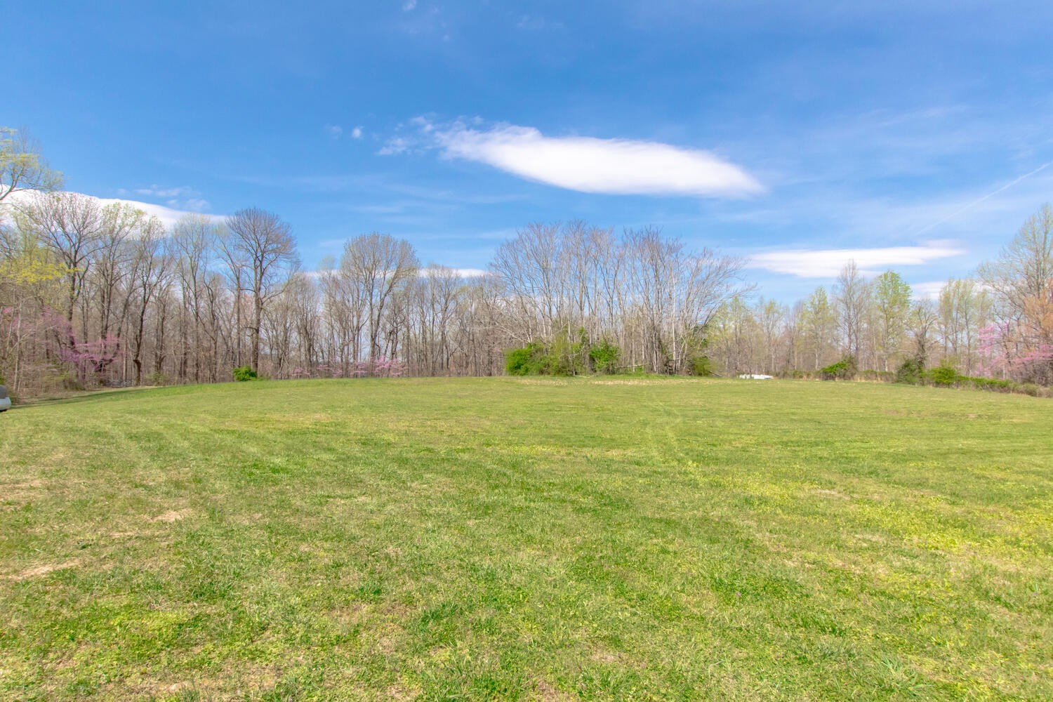 259 Toad Road Dowelltown, TN 37059 - Photo 18 of 19 a view of open field with trees in the background