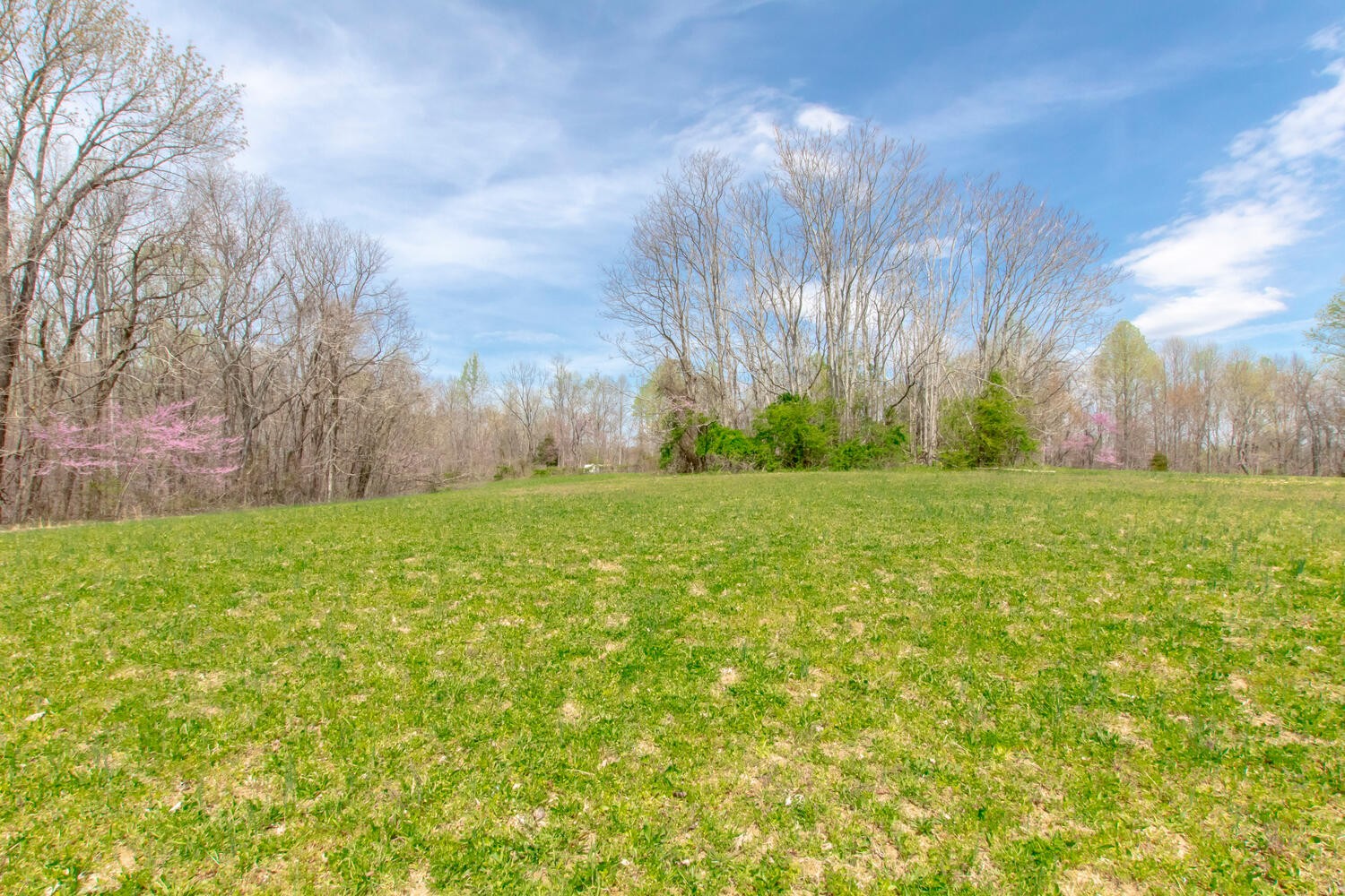 259 Toad Road Dowelltown, TN 37059 - Photo 19 of 19 a view of yard with green space