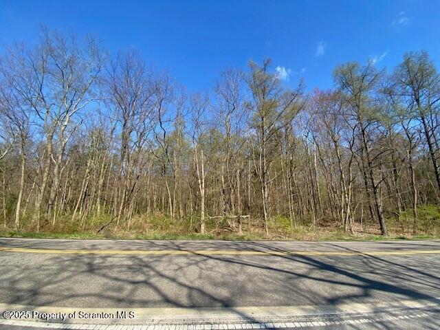 1 Milwaukee Taylor, PA 18517 - Photo 7 of 9 a view of a yard with large trees