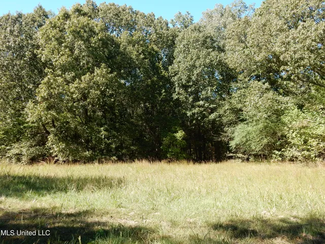 $79,500 | Lot 4 North Crockett Road, Senatobia, MS 38668