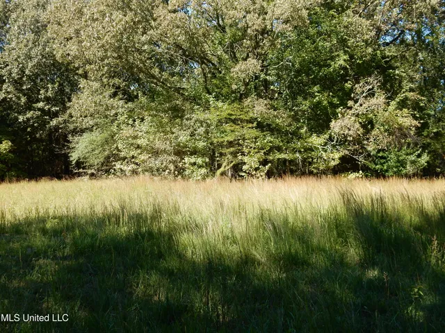$79,500 | Lot 4 North Crockett Road, Senatobia, MS 38668