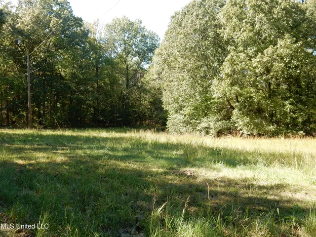 $79,500 | Lot 4 North Crockett Road, Senatobia, MS 38668
