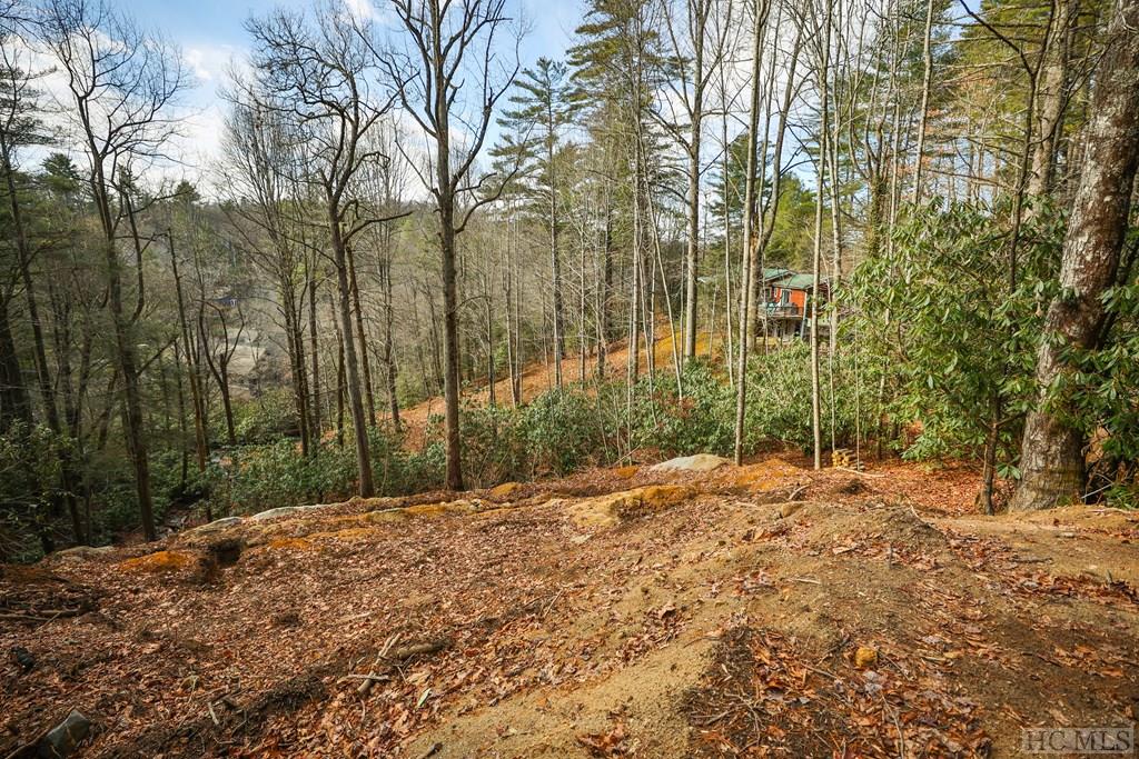 188 Foreman Road Highlands, NC 28741 - Photo 18 of 38 Gallery Image 18