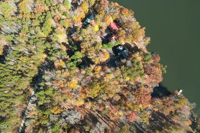 a picture of flowers