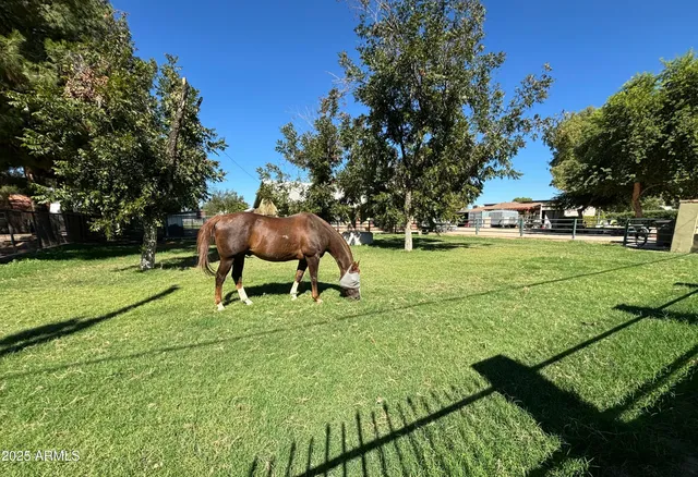 $1,115,000 | 18950 East Vía De Palmas, Queen Creek, AZ 85142