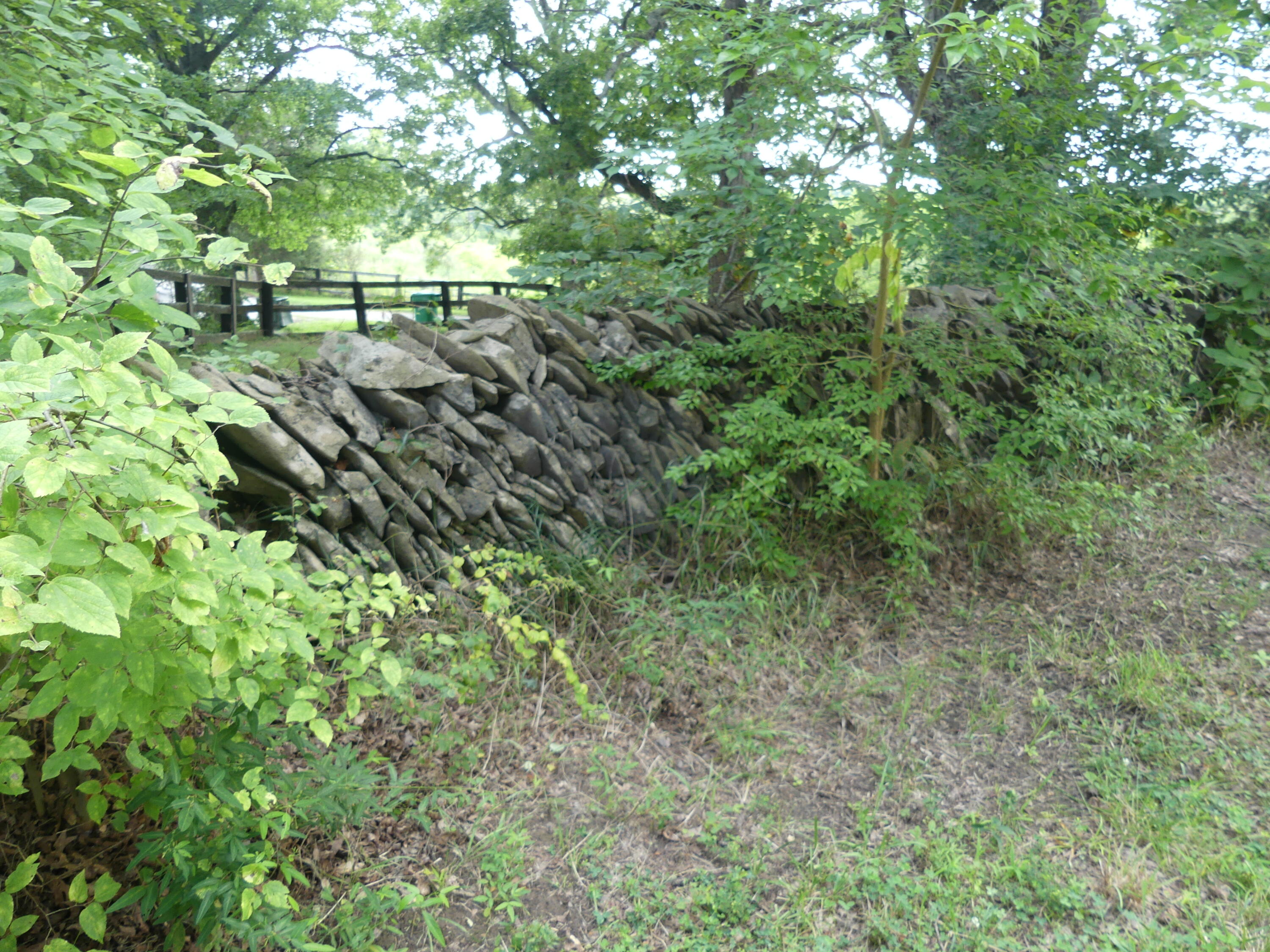 1040 Delaney Road Lawrenceburg, KY 40342 - Photo 15 of 55 P1020012