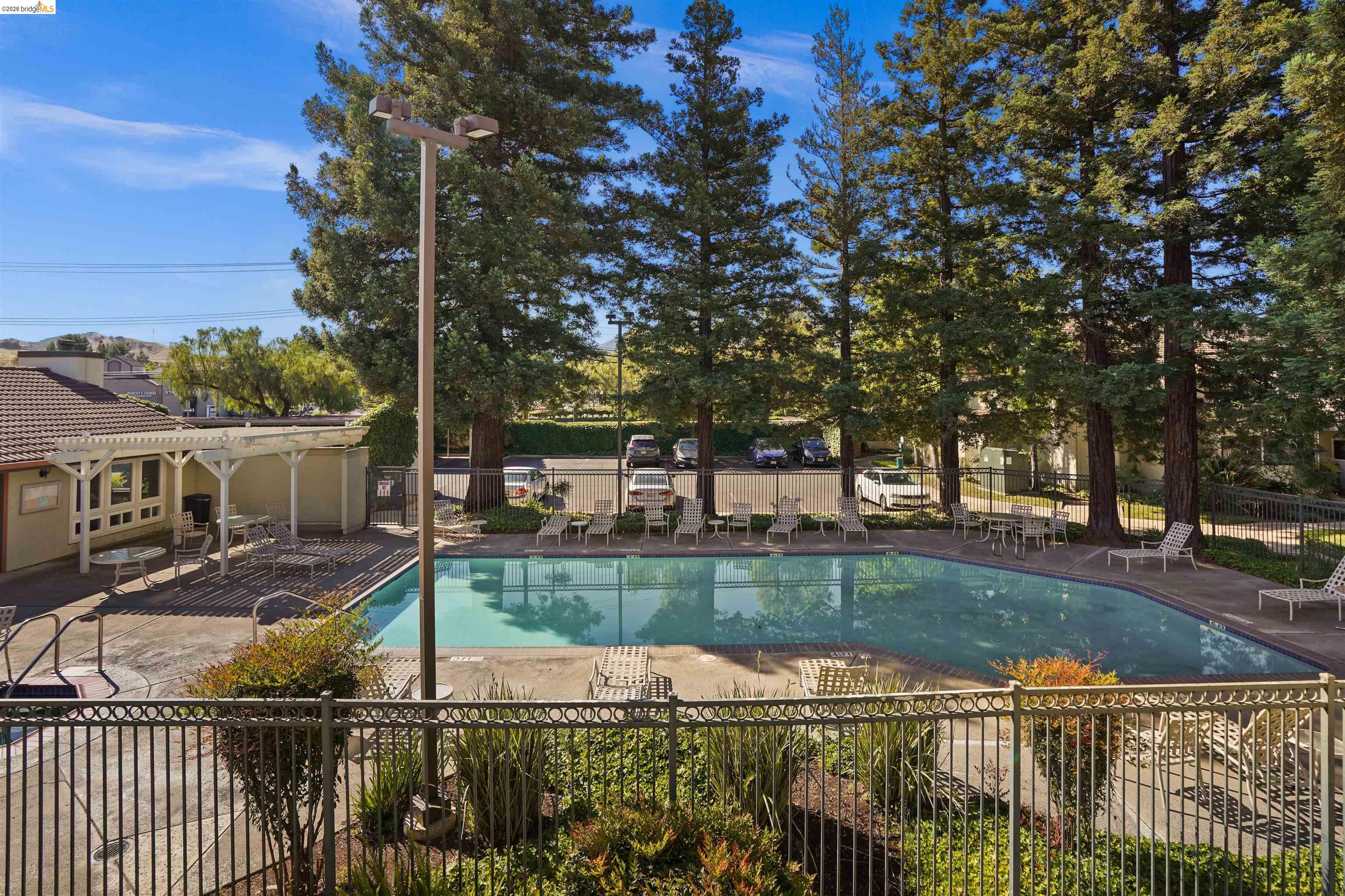 1505 Kirker Pass Road, Unit 214 Concord, CA 94521 - Photo 45 of 55 Rectangular swimming pool with surrounding lounge seating, a shaded patio area, and mature trees