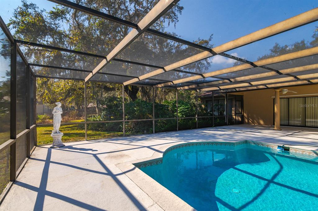 10206 Lakeview Drive New Port Richey, FL 34654 - Photo 38 of 53 a view of a indoor swimming pool