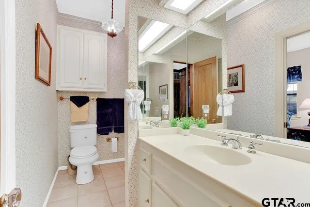 a bathroom with a sink a toilet and mirror