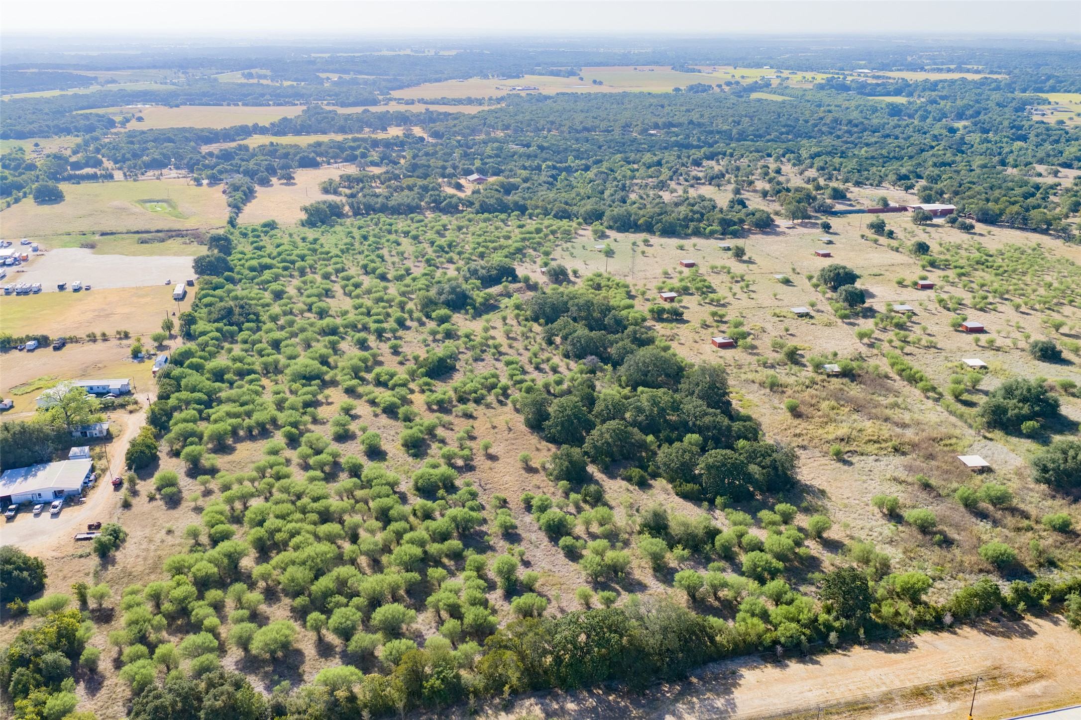 4170 Elm Grove Road Belton, TX 76513 - Photo 5 of 35 Lush rolling countryside unfolds across this expansive acreage bordered by mature trees.
