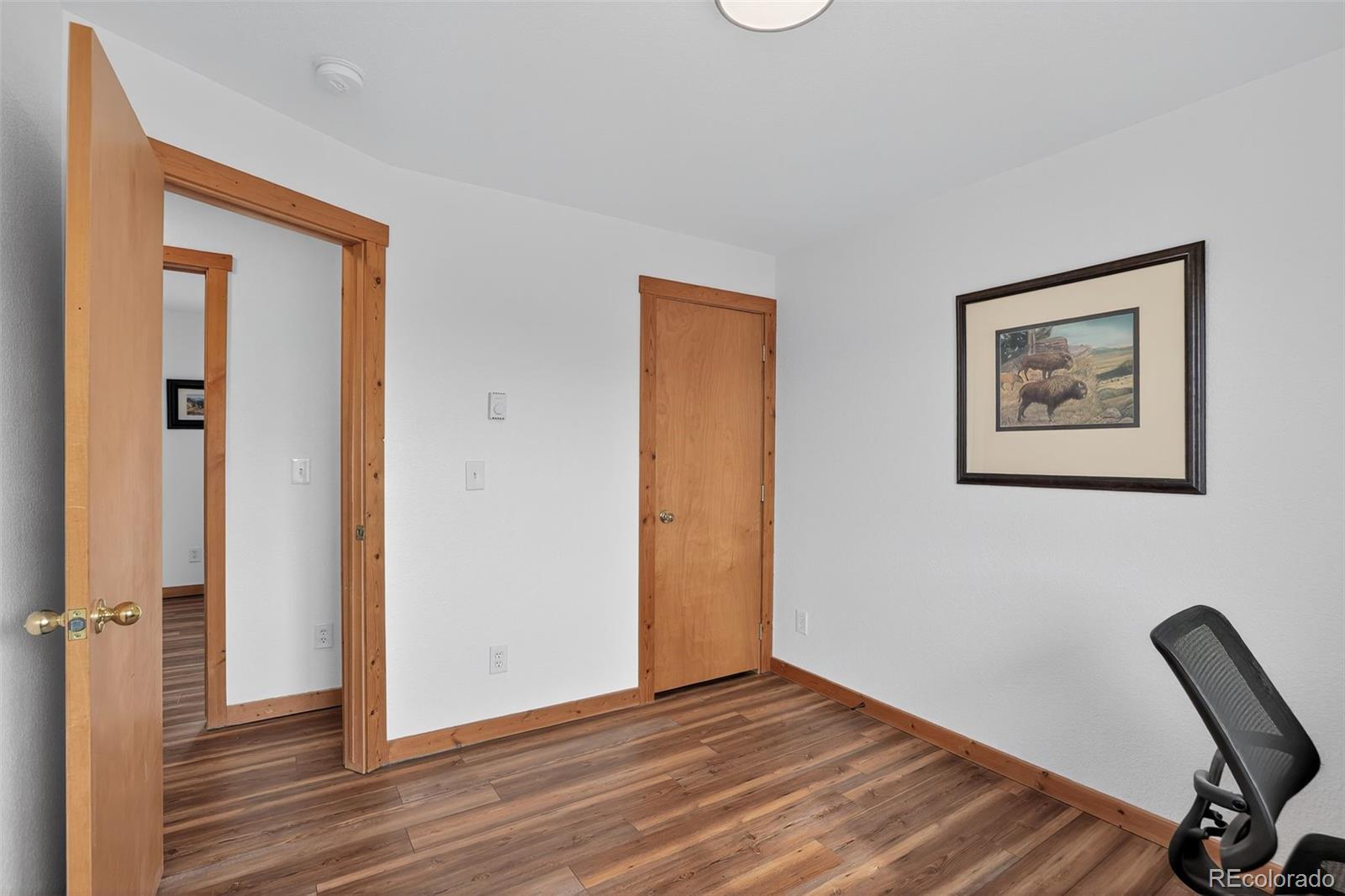 14012 Chickasaw Road Hartsel, CO 80449 - Photo 26 of 43