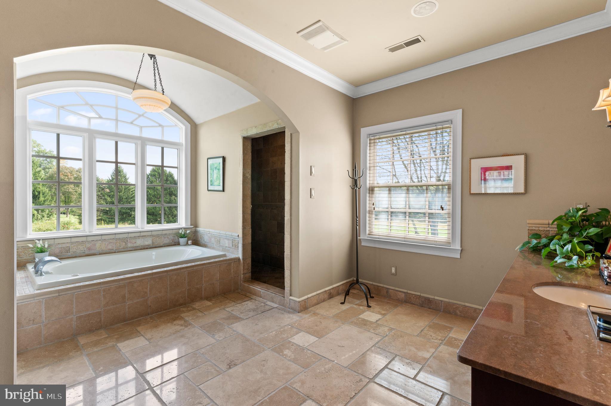 335 Boot Road Malvern, PA 19355 - Photo 32 of 65 Primary Spa-Inspired Bathroom, Jacuzzi Tub
