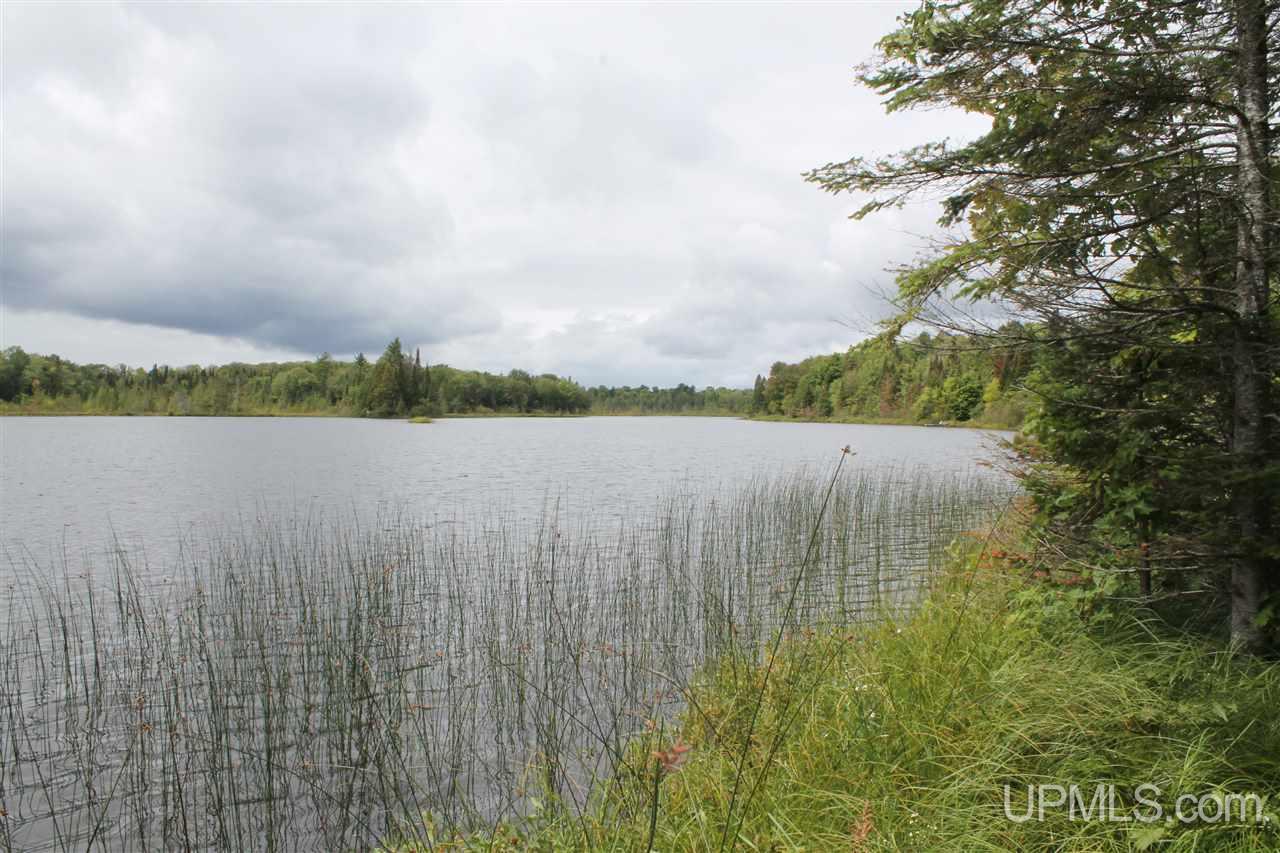 Tbd East Ford Lake Road Germfask, MI 49836 - Photo 3 of 9 Gallery Image 3
