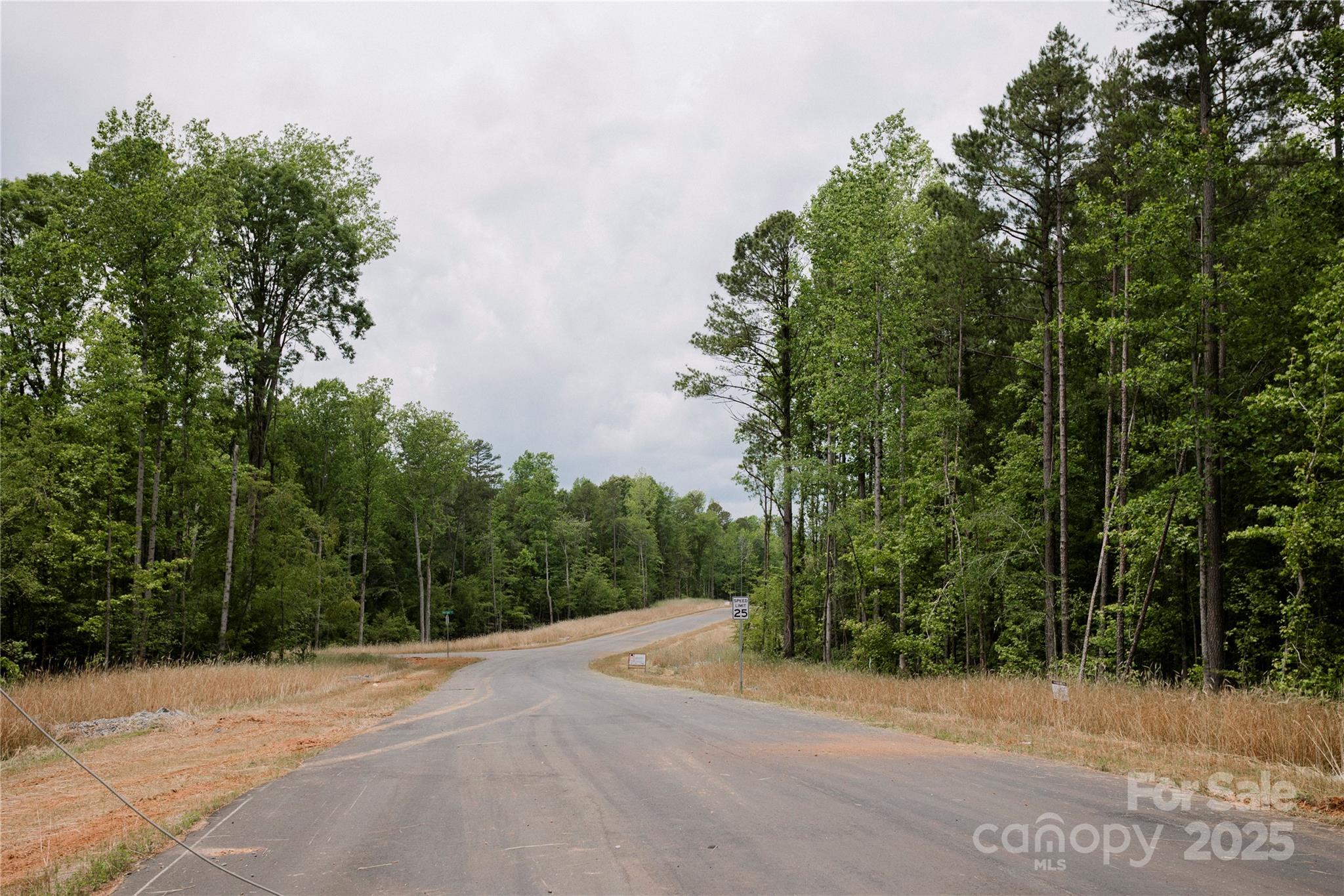 Lot 5 American Bittern Way Clover, SC 29710 - Photo 1 of 37 Gallery Image 1