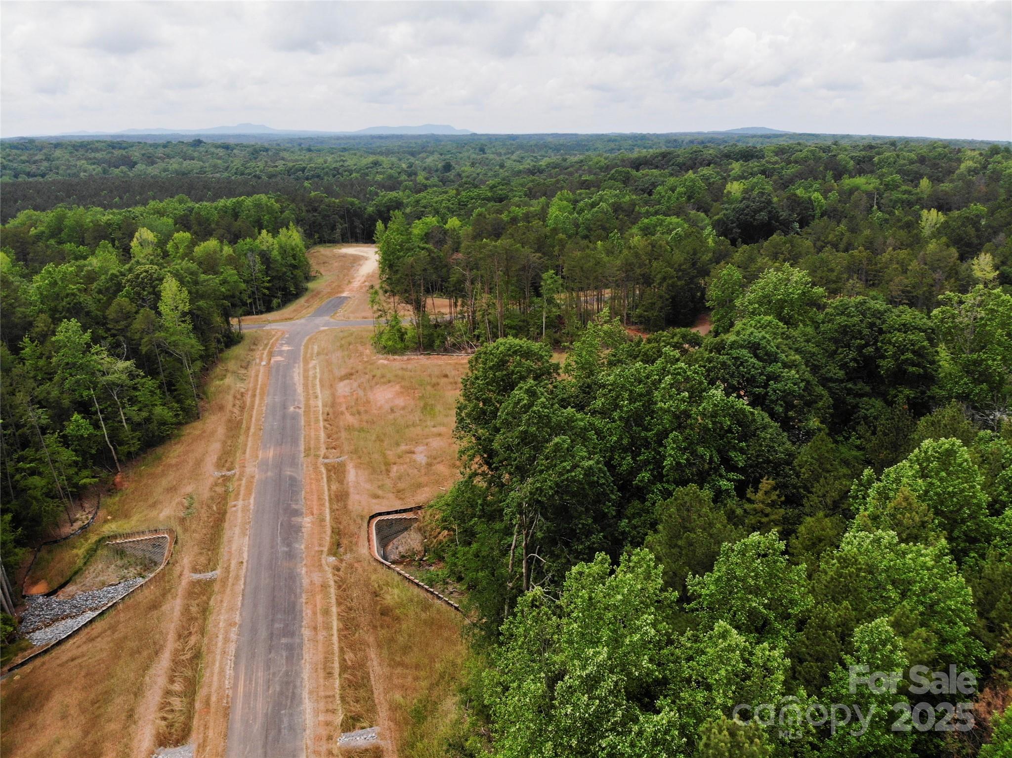 Lot 5 American Bittern Way Clover, SC 29710 - Photo 12 of 37 Gallery Image 12