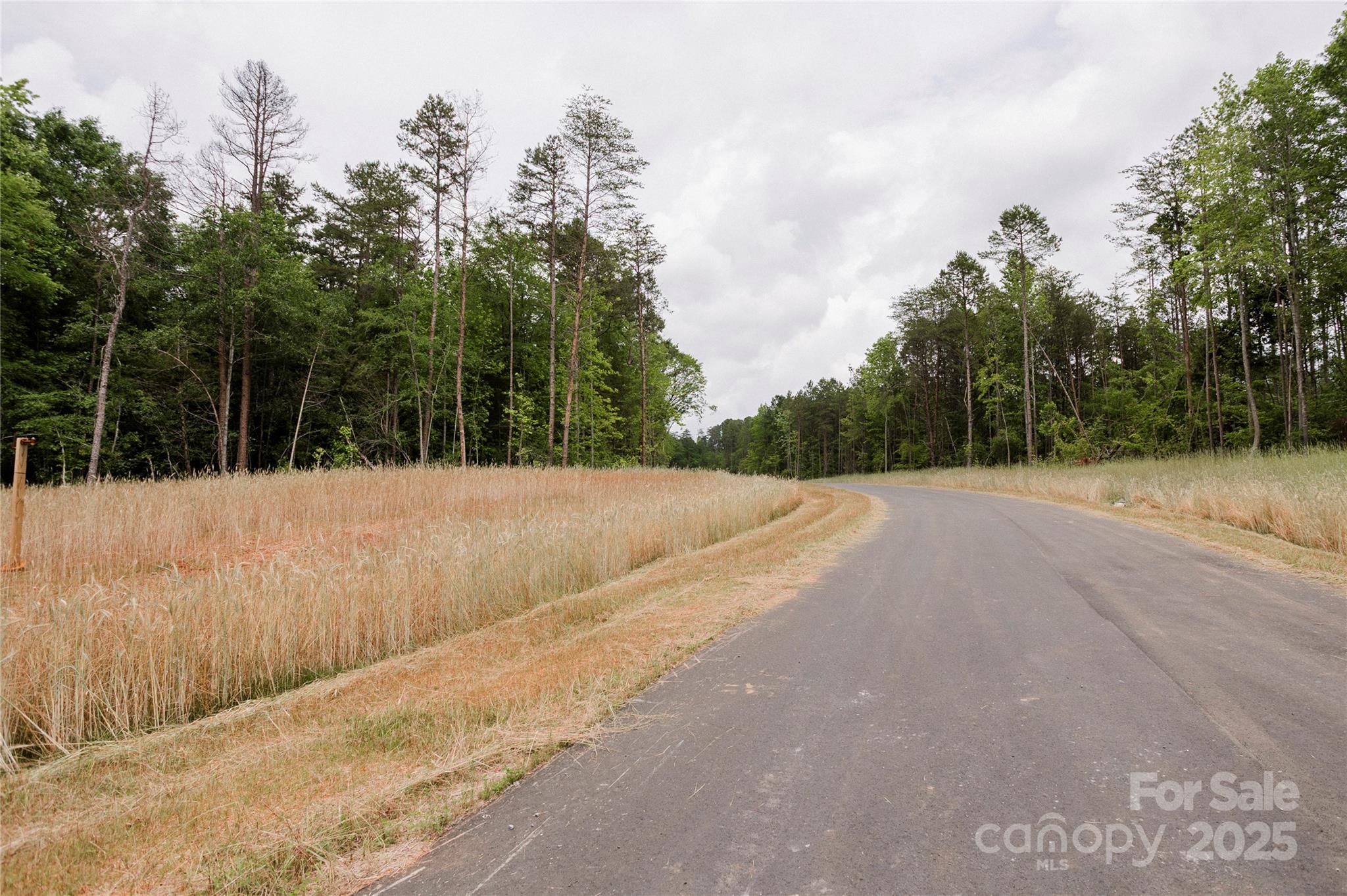Lot 5 American Bittern Way Clover, SC 29710 - Photo 22 of 37 Gallery Image 22