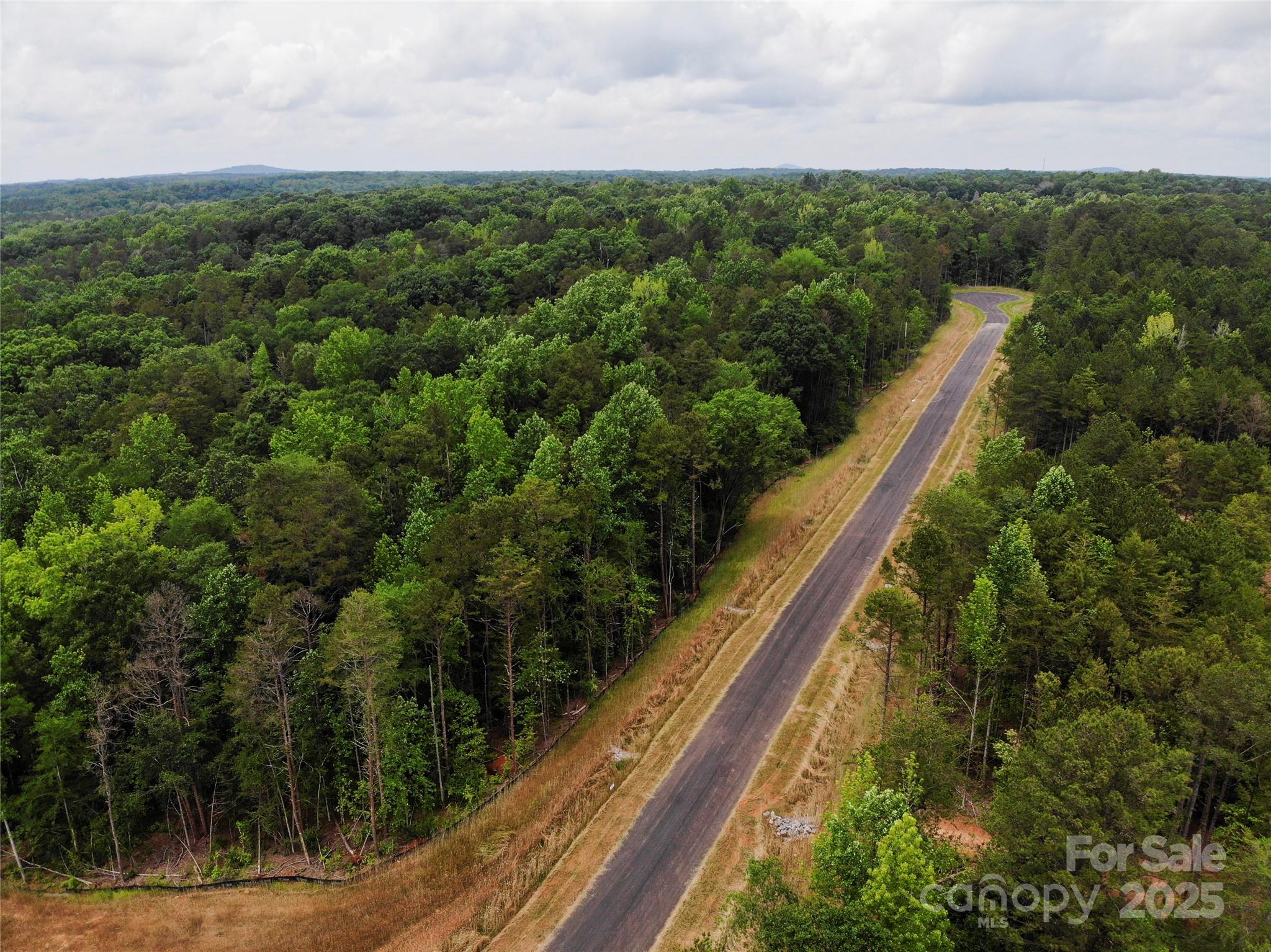 Lot 5 American Bittern Way Clover, SC 29710 - Photo 3 of 37 Gallery Image 3
